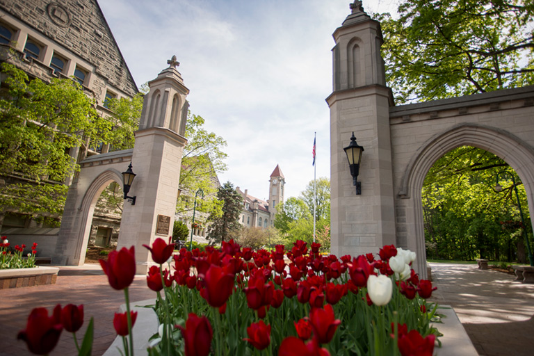 A highly attractive picture of the Sample Gates flanked by flower beds of red tulips on a sunny spring day.
