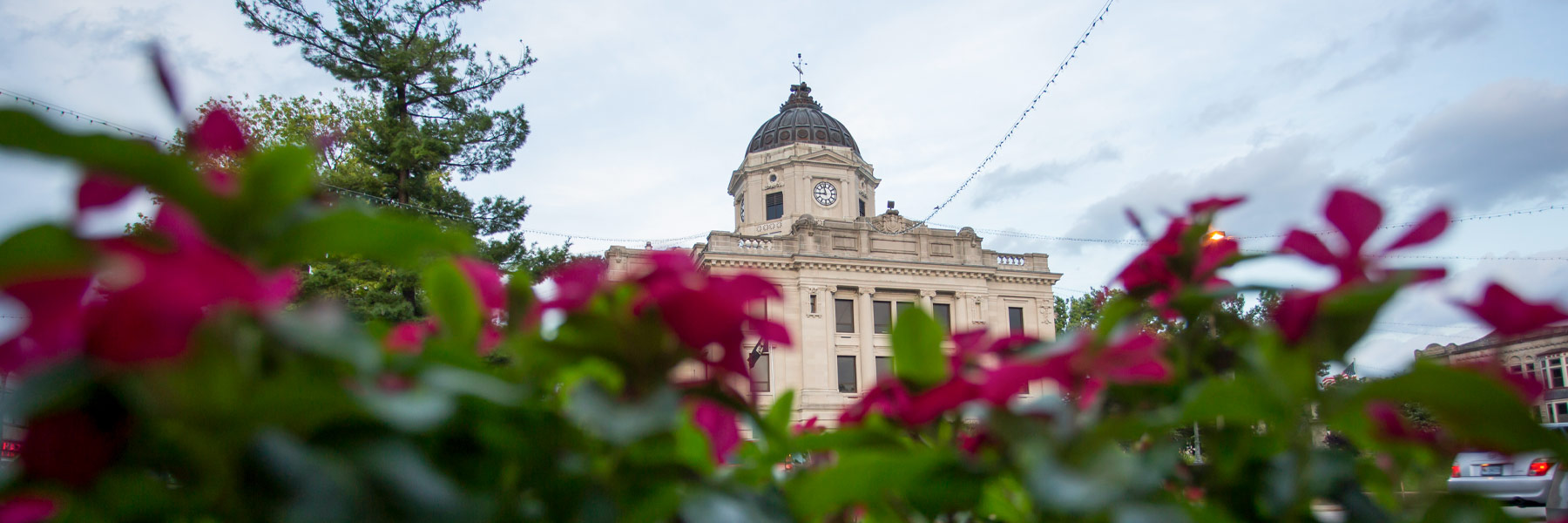 A glorious shot of the Bloomington courthouse in summer, framed by magenta clusters of flowers in the image foreground.